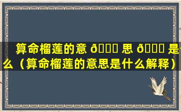 算命榴莲的意 💐 思 💐 是什么（算命榴莲的意思是什么解释）